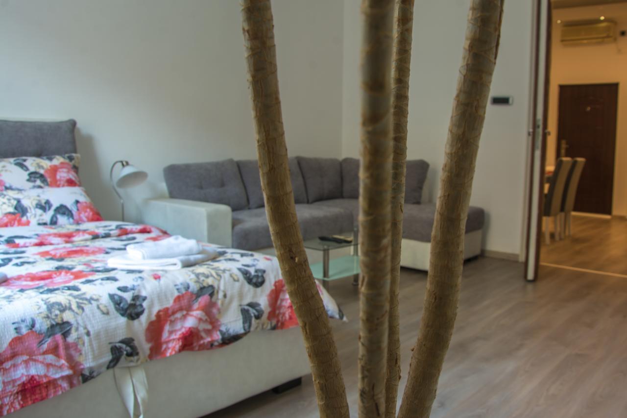Apartment Petra 072 เบลเกรด ภายนอก รูปภาพ